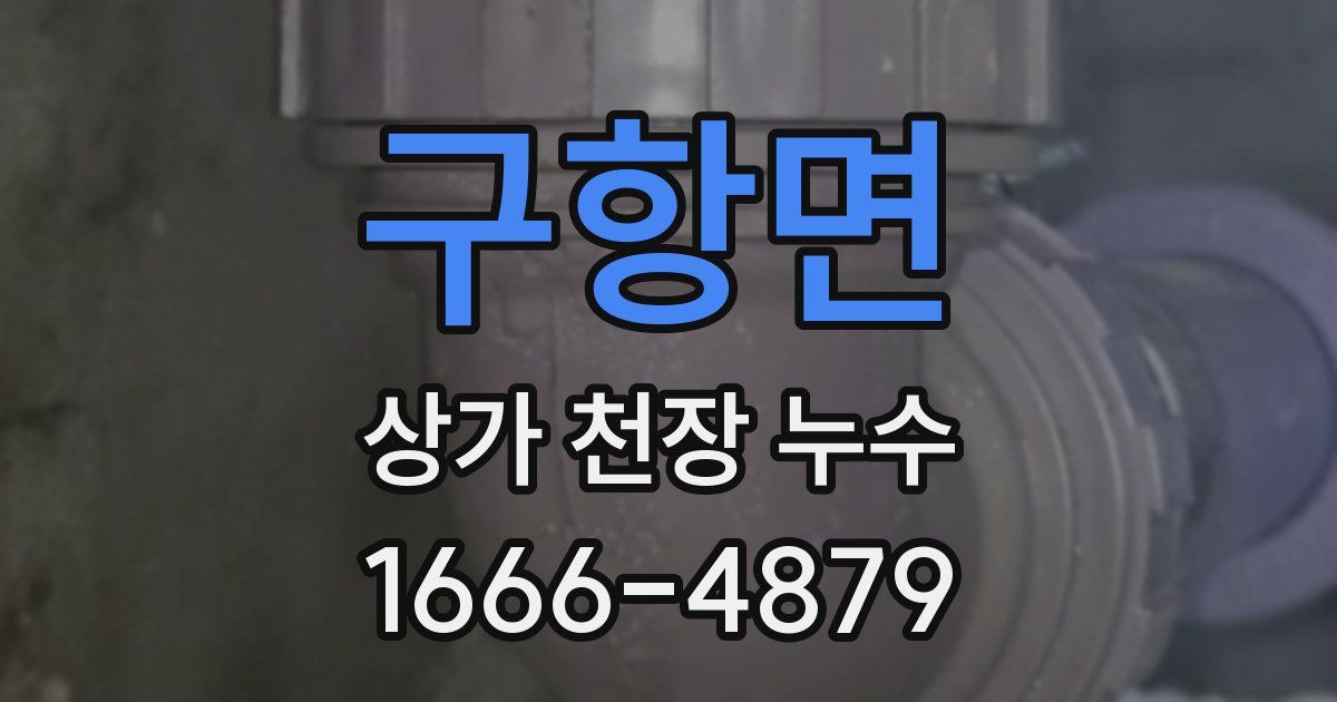 구항면 상가 천장 누수