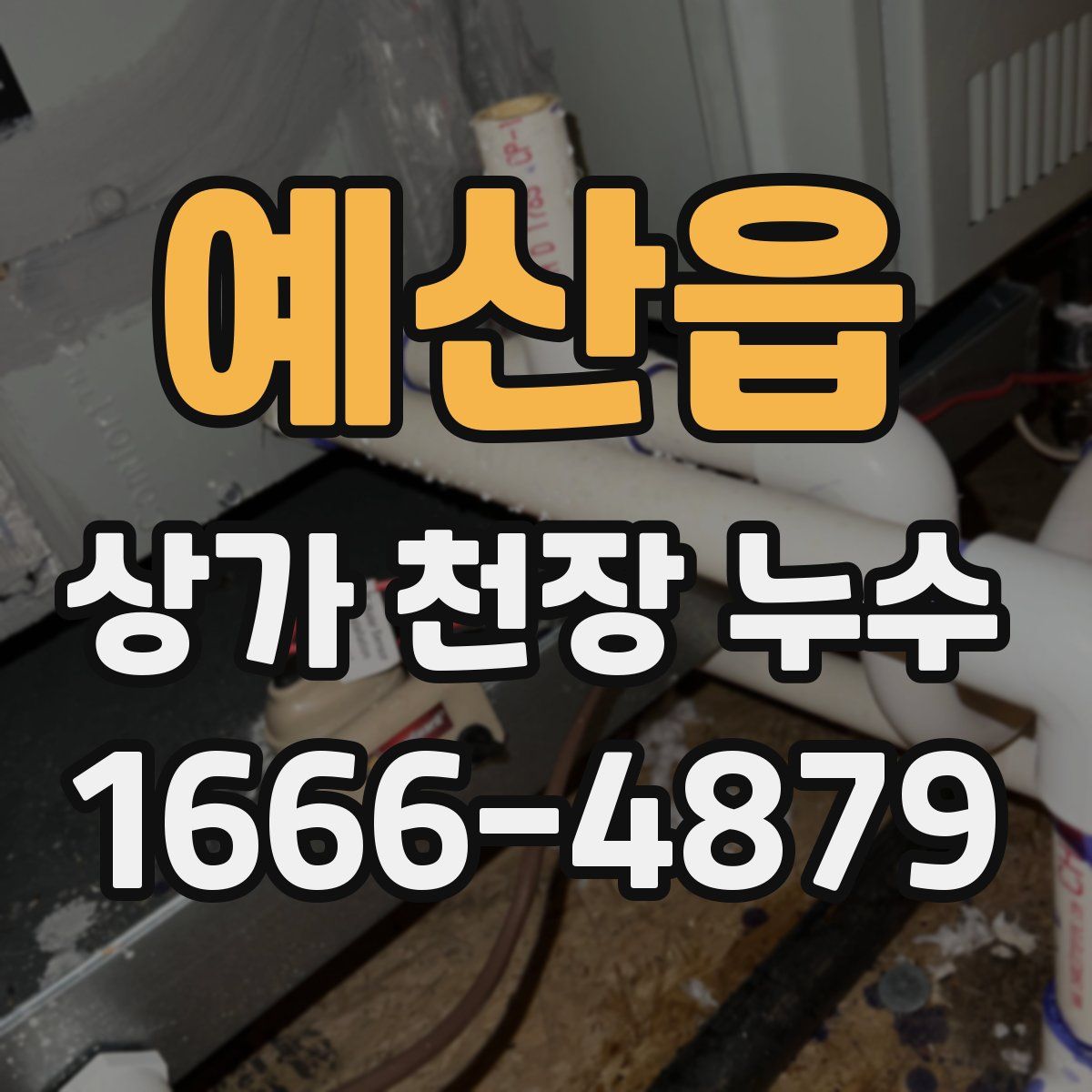 예산읍 상가 천장 누수