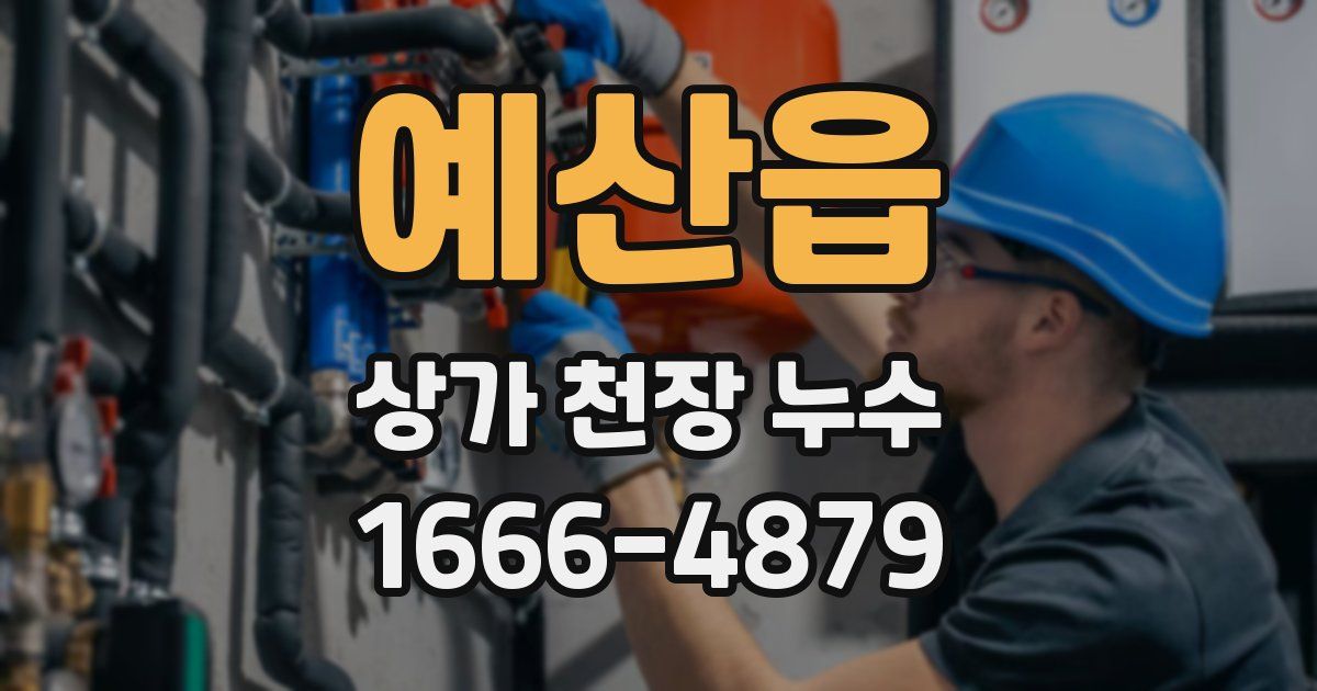 예산읍 상가 천장 누수