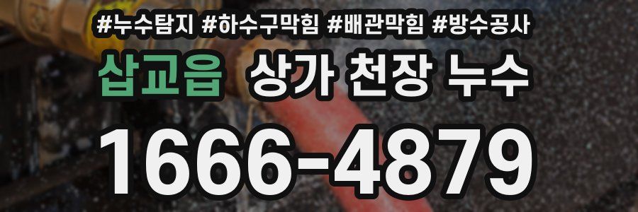 삽교읍 상가 천장 누수