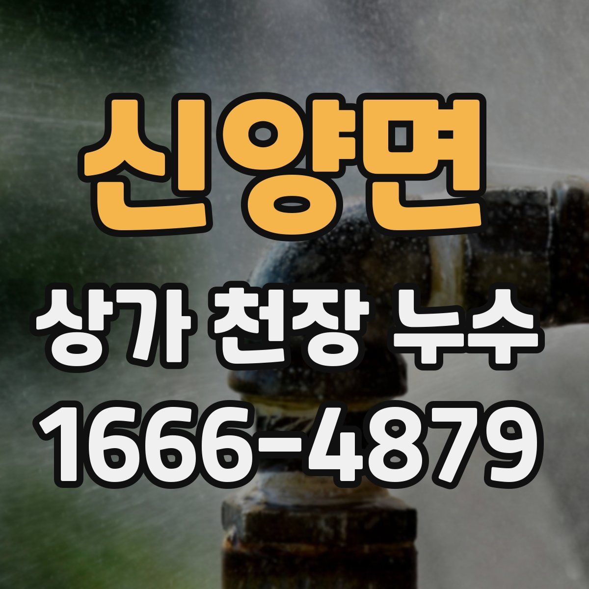 신양면 상가 천장 누수