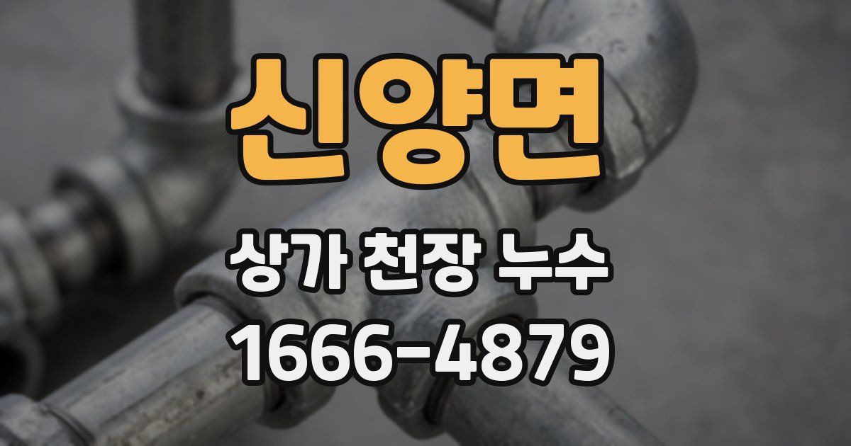 신양면 상가 천장 누수