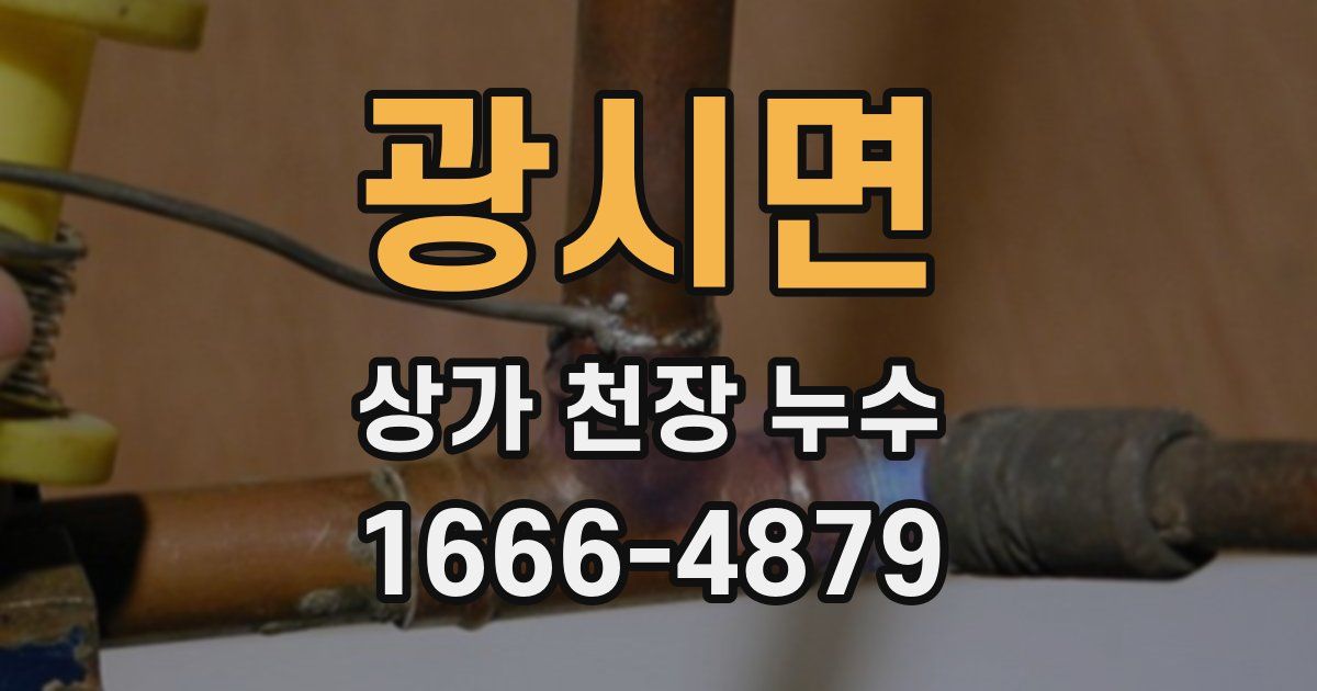 광시면 상가 천장 누수