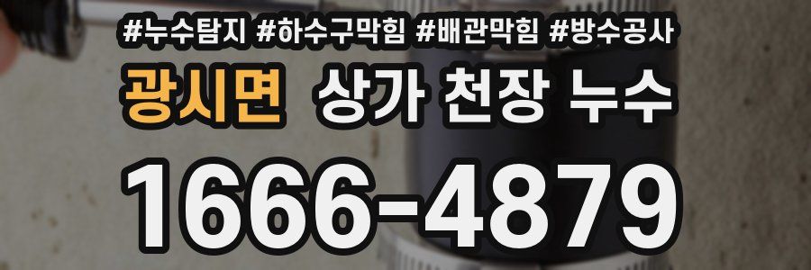 광시면 상가 천장 누수