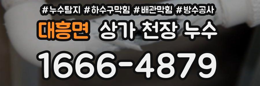 대흥면 상가 천장 누수