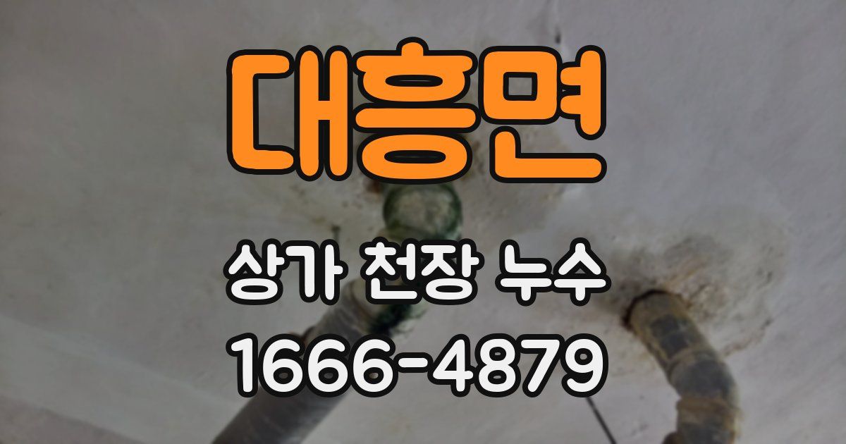대흥면 상가 천장 누수