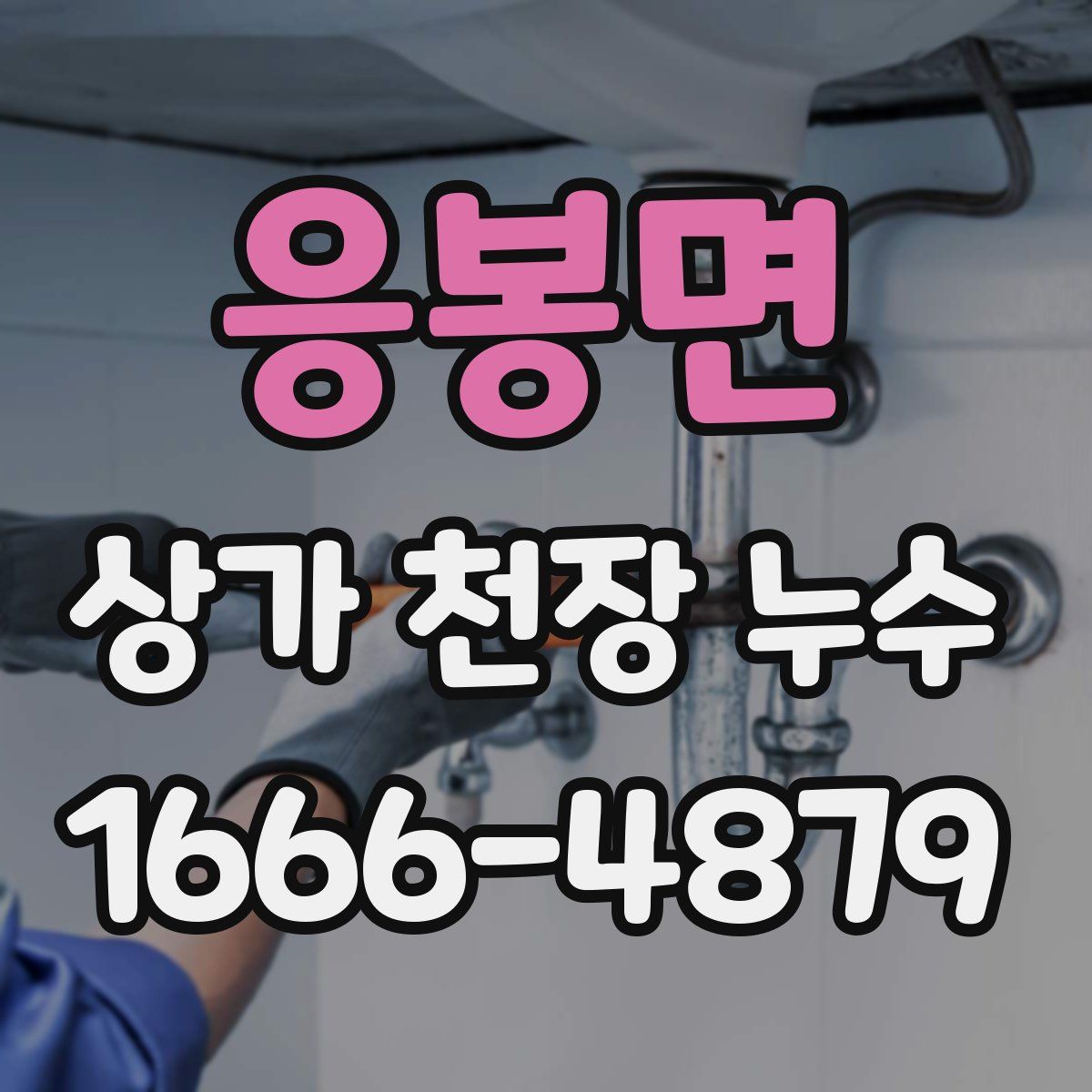 응봉면 상가 천장 누수