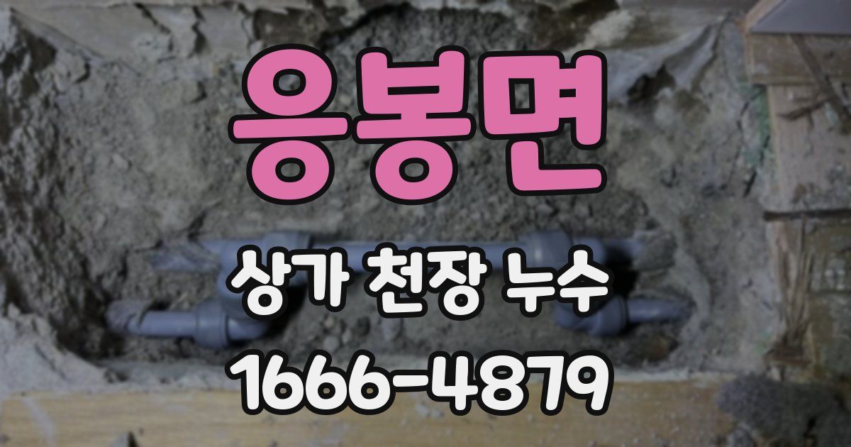 응봉면 상가 천장 누수