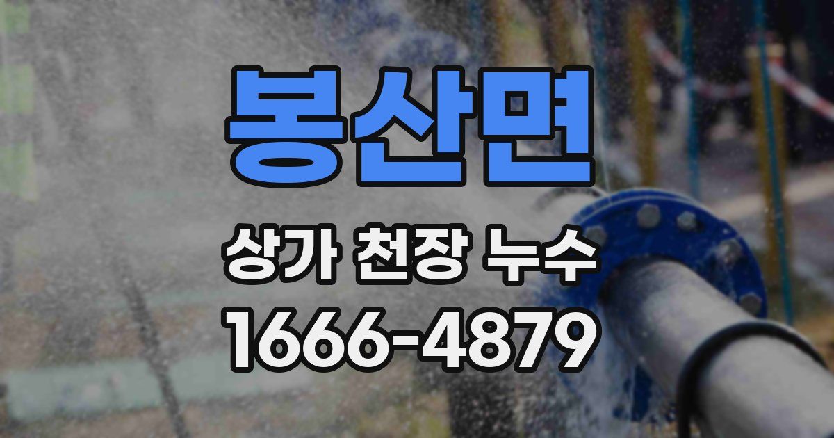 봉산면 상가 천장 누수