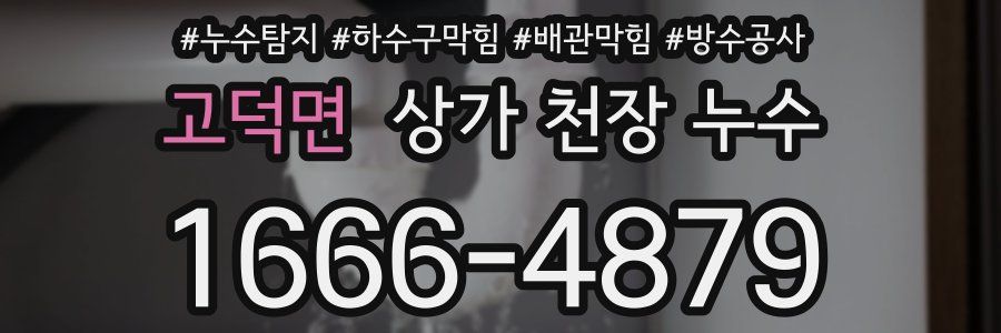 고덕면 상가 천장 누수