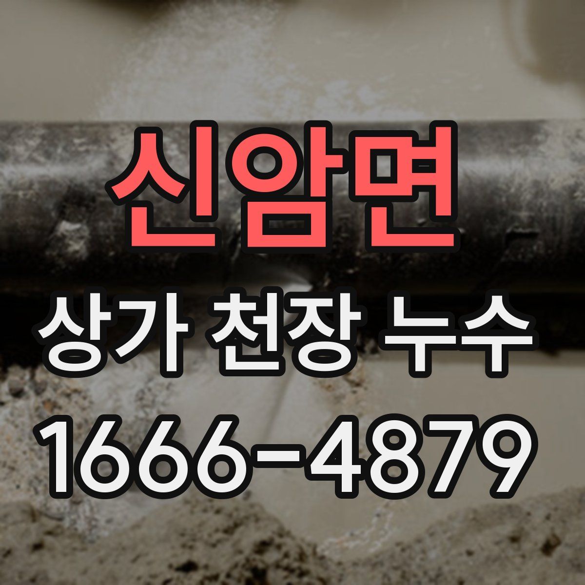 신암면 상가 천장 누수