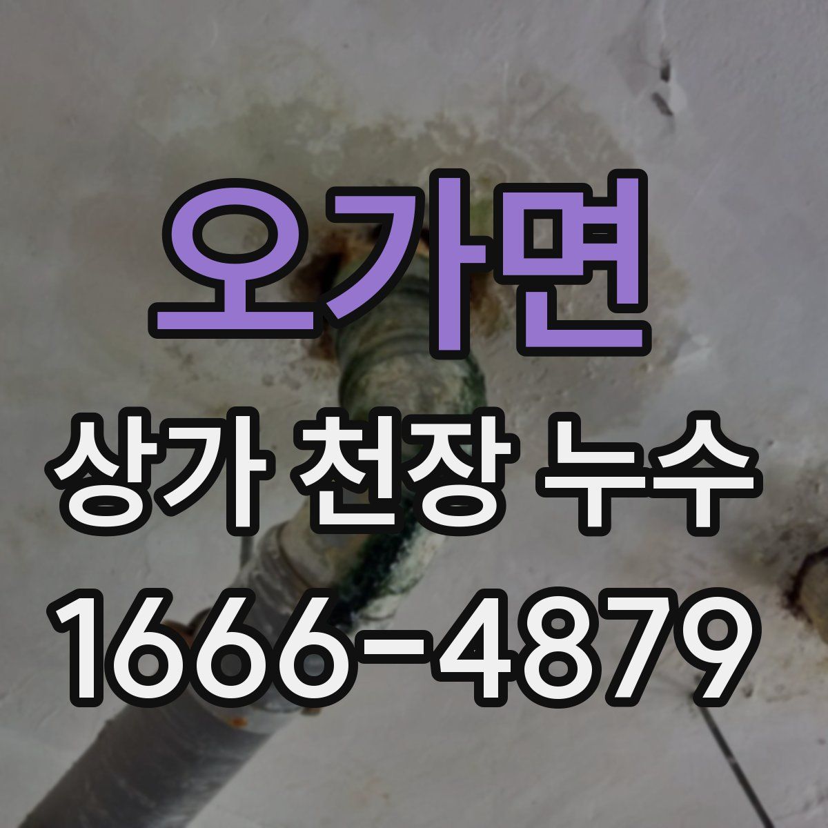 오가면 상가 천장 누수