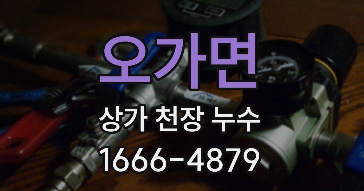 오가면 상가 천장 누수
