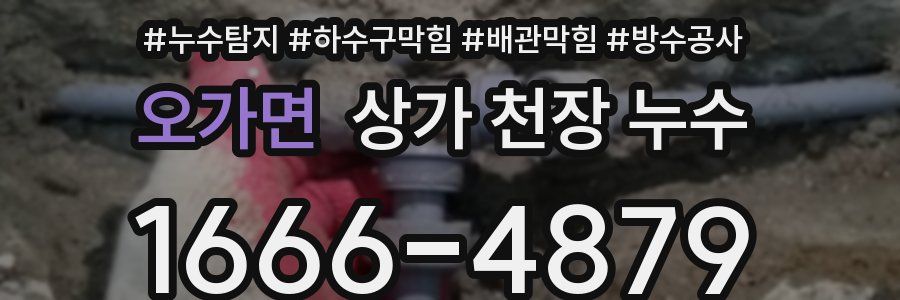 오가면 상가 천장 누수