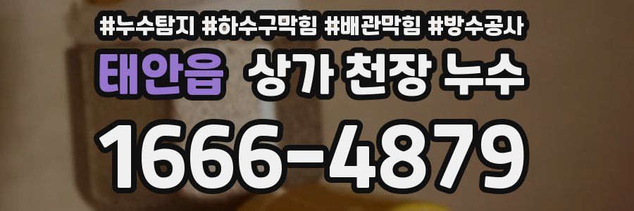 태안읍 상가 천장 누수