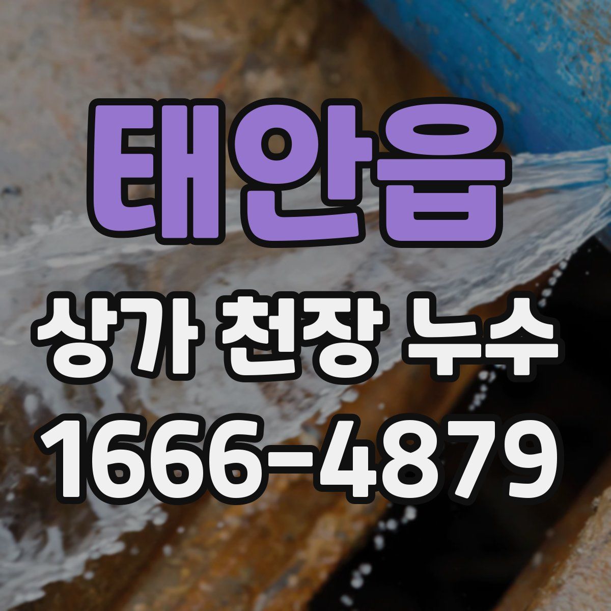 태안읍 상가 천장 누수