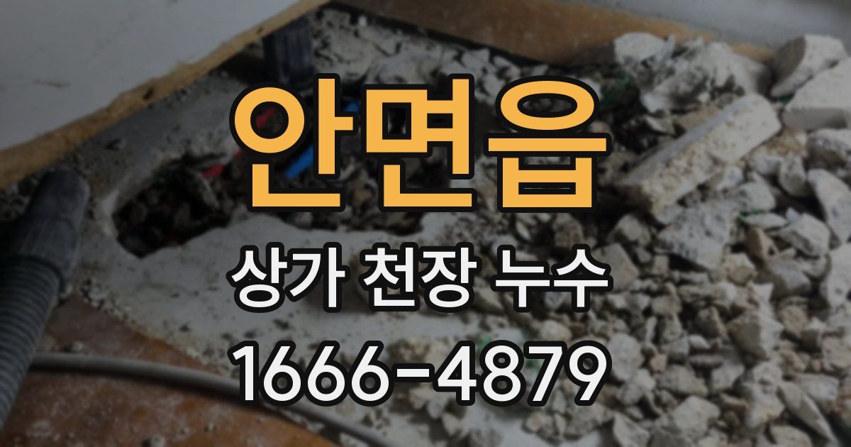안면읍 상가 천장 누수