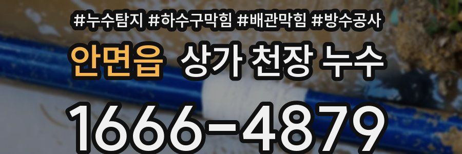 안면읍 상가 천장 누수