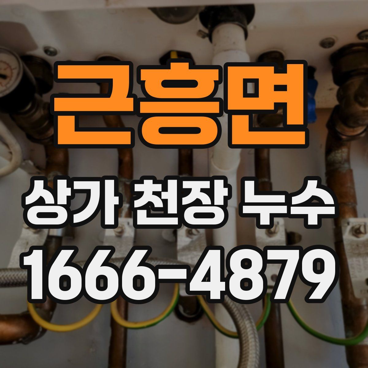 근흥면 상가 천장 누수