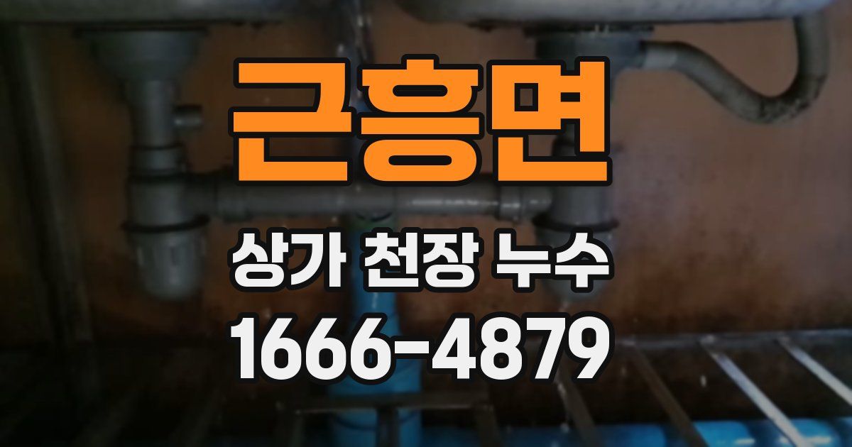 근흥면 상가 천장 누수
