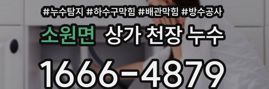 소원면 상가 천장 누수
