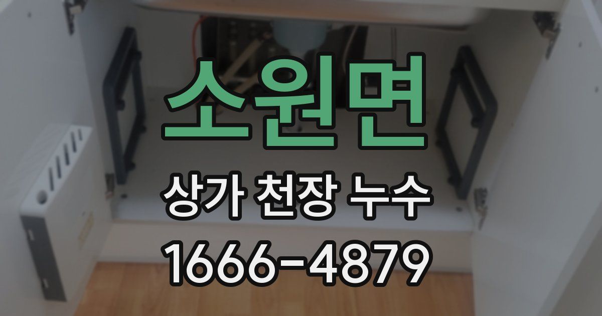 소원면 상가 천장 누수