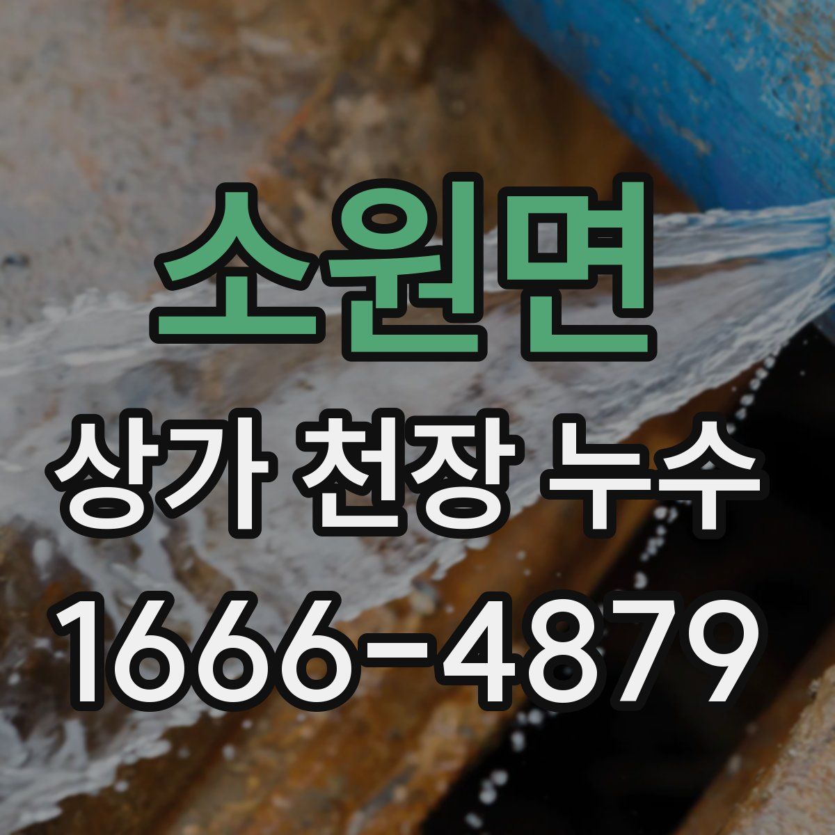 소원면 상가 천장 누수