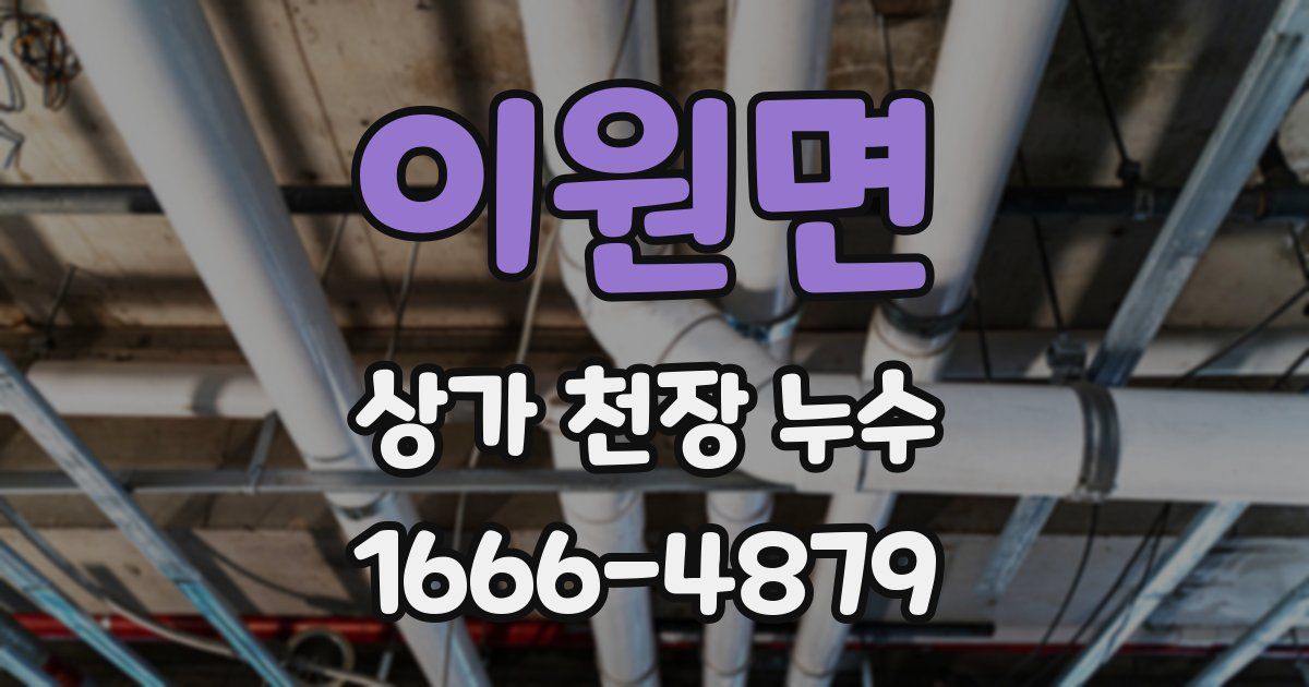 이원면 상가 천장 누수