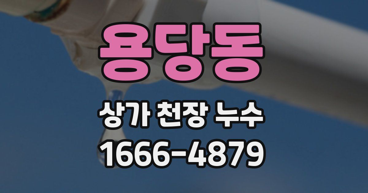 용당동 상가 천장 누수