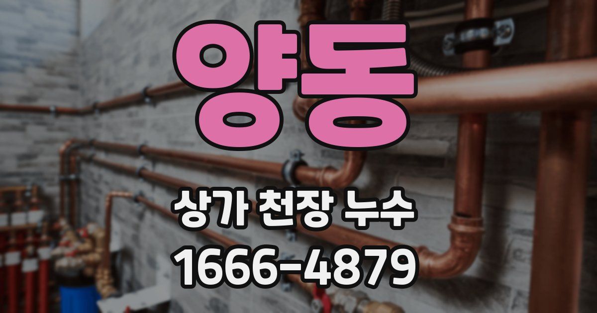 양동 상가 천장 누수