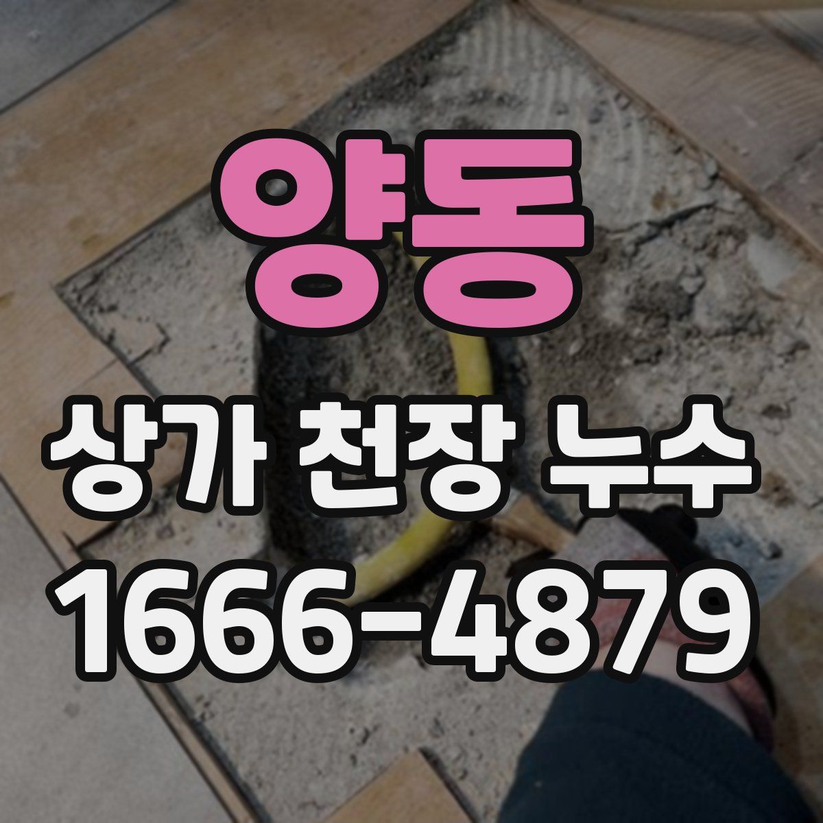양동 상가 천장 누수