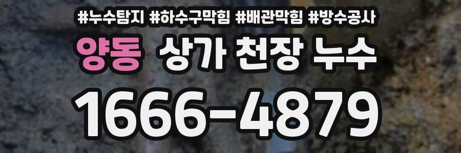 양동 상가 천장 누수