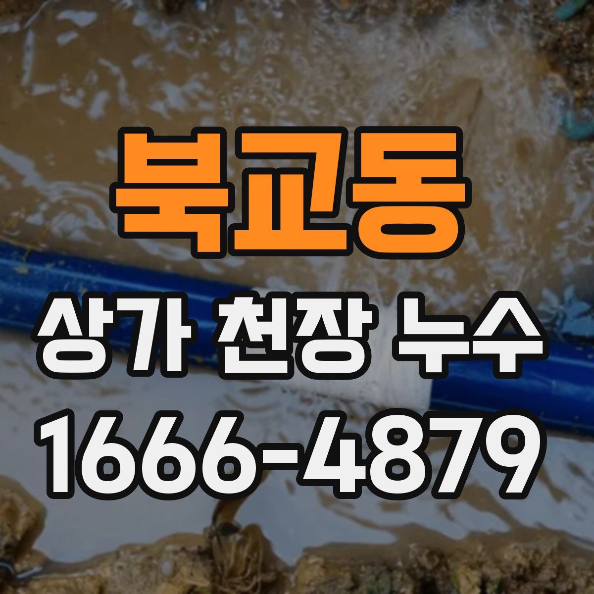 북교동 상가 천장 누수