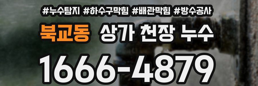 북교동 상가 천장 누수