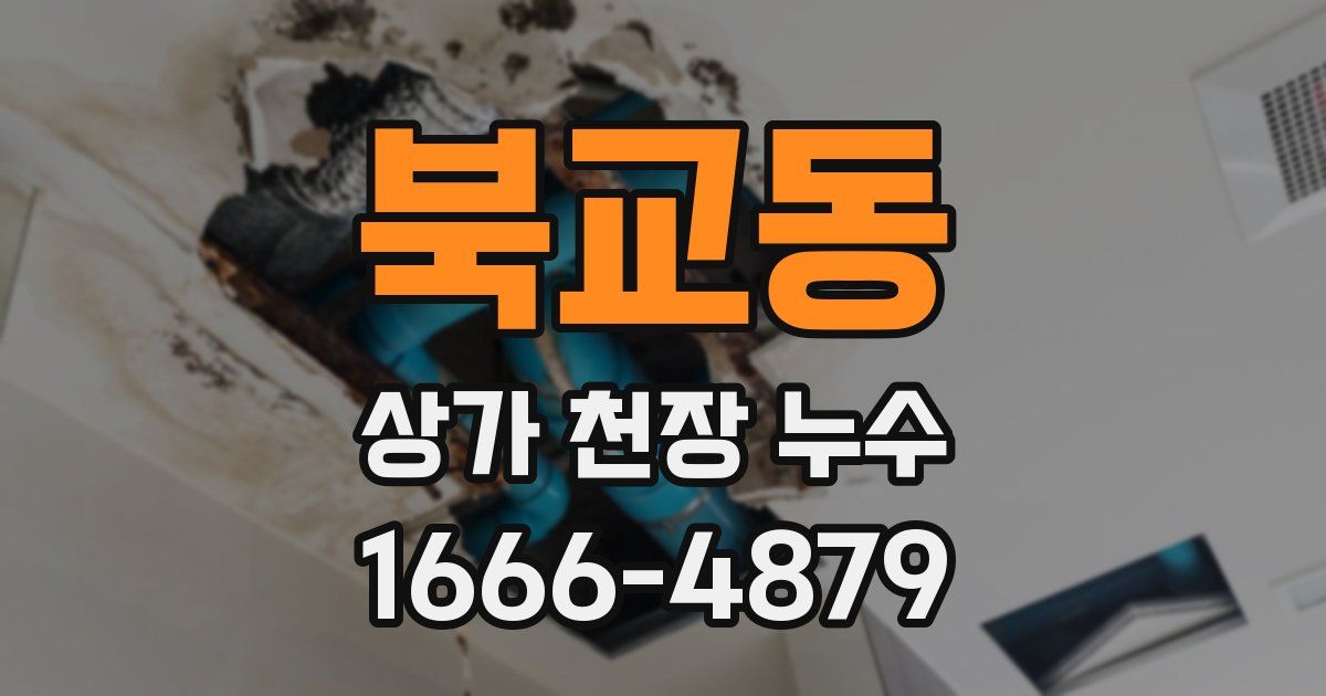 북교동 상가 천장 누수