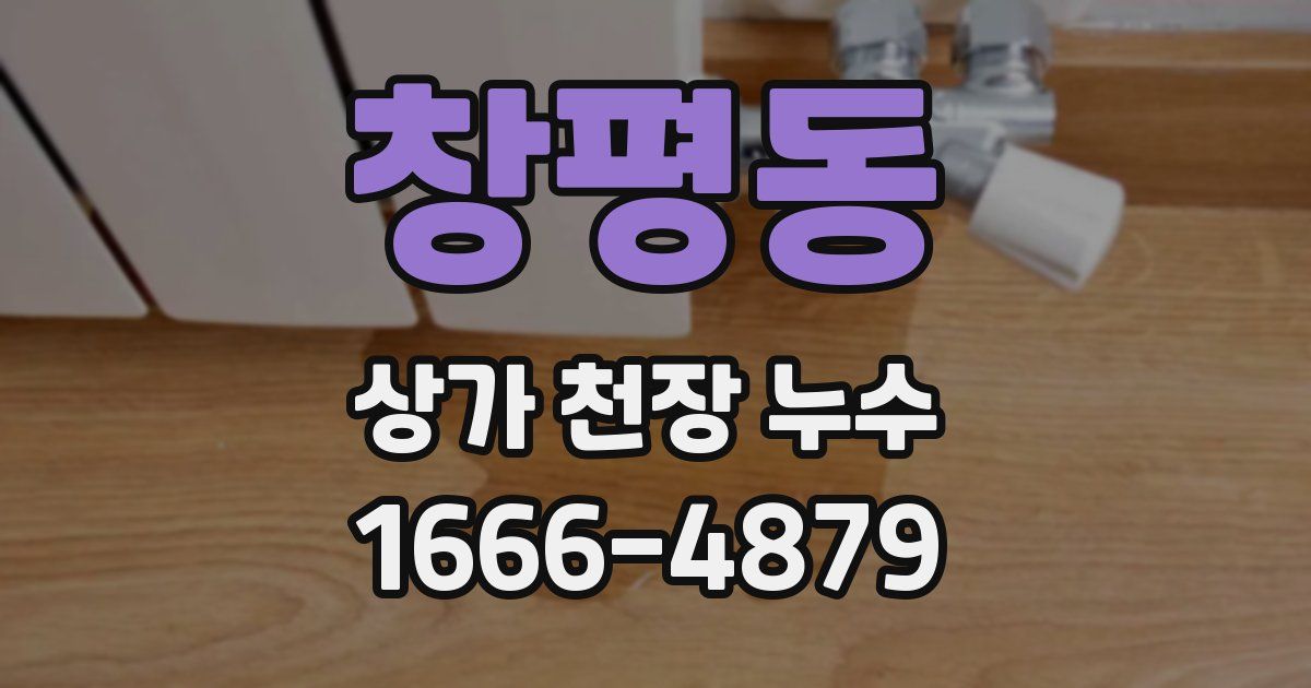 창평동 상가 천장 누수