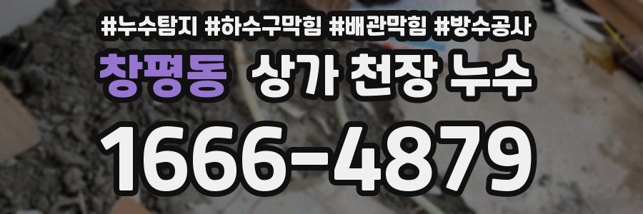 창평동 상가 천장 누수