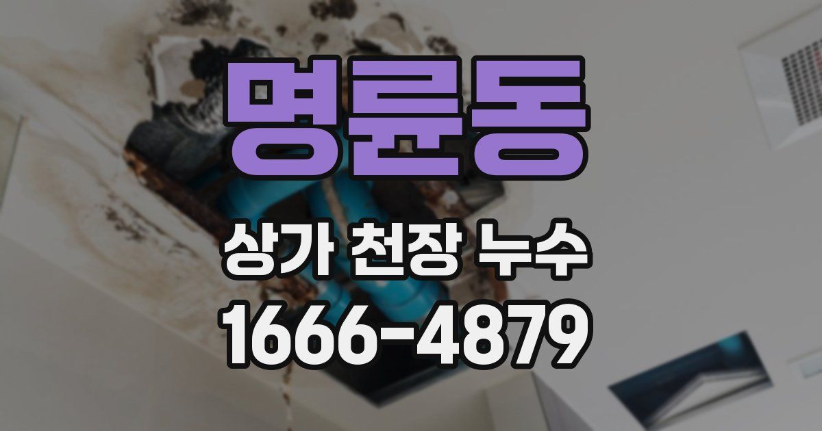 명륜동 상가 천장 누수