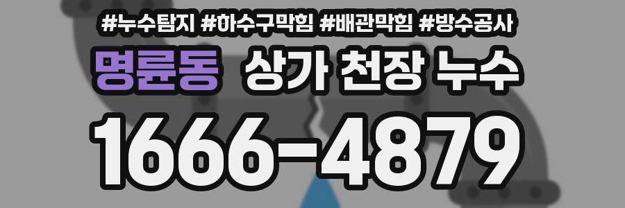 명륜동 상가 천장 누수