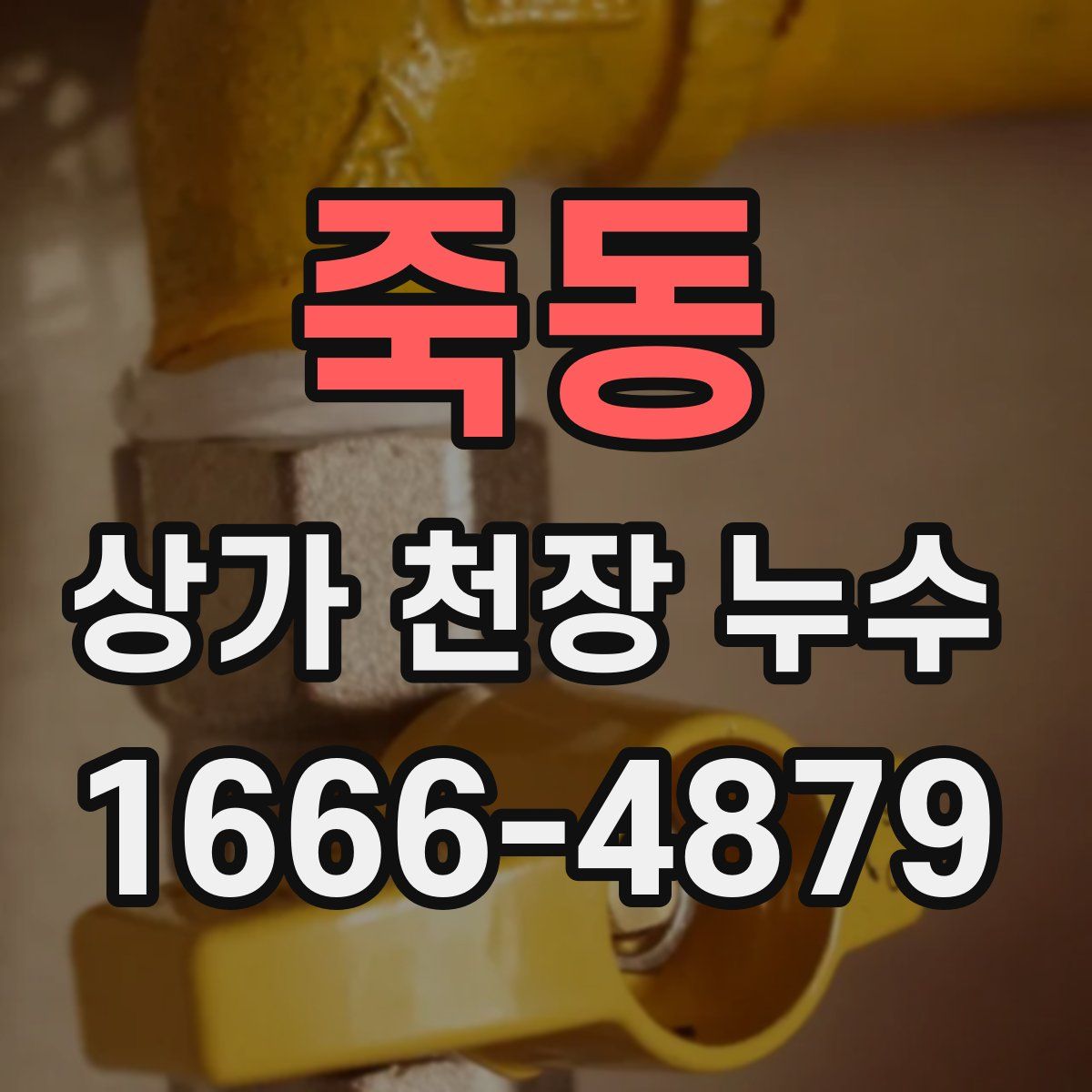 죽동 상가 천장 누수