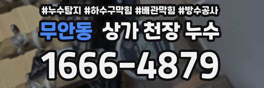 무안동 상가 천장 누수