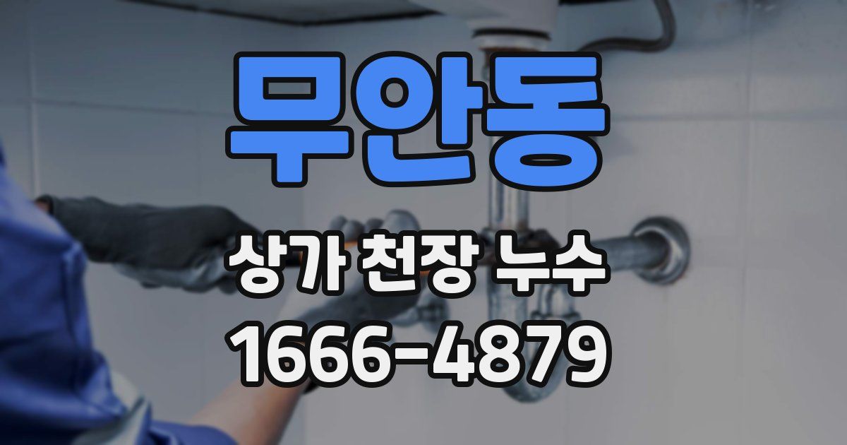 무안동 상가 천장 누수