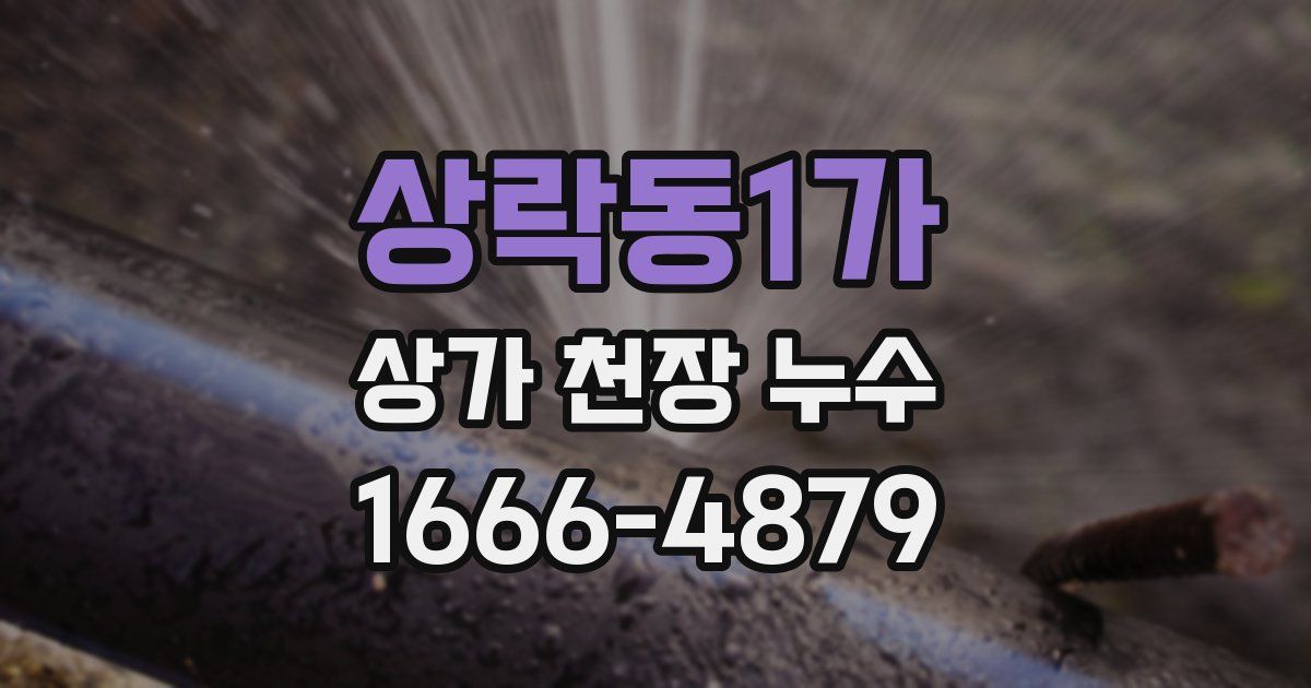 상락동1가 상가 천장 누수