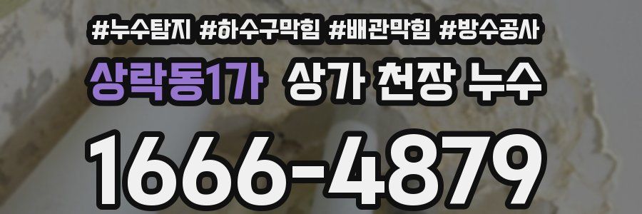 상락동1가 상가 천장 누수