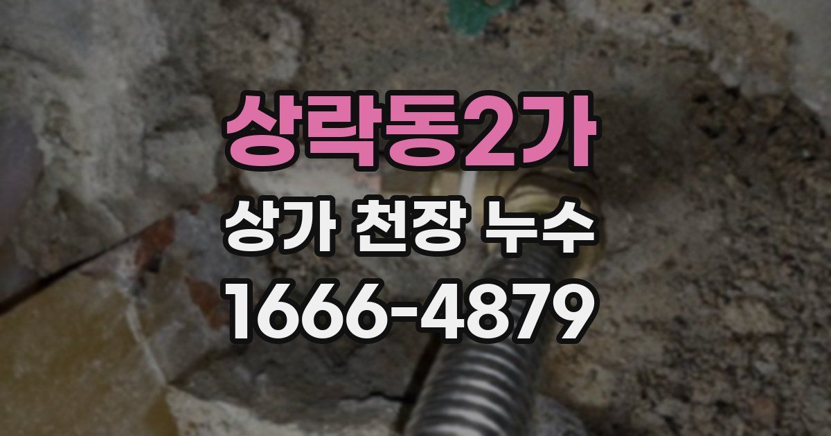 상락동2가 상가 천장 누수
