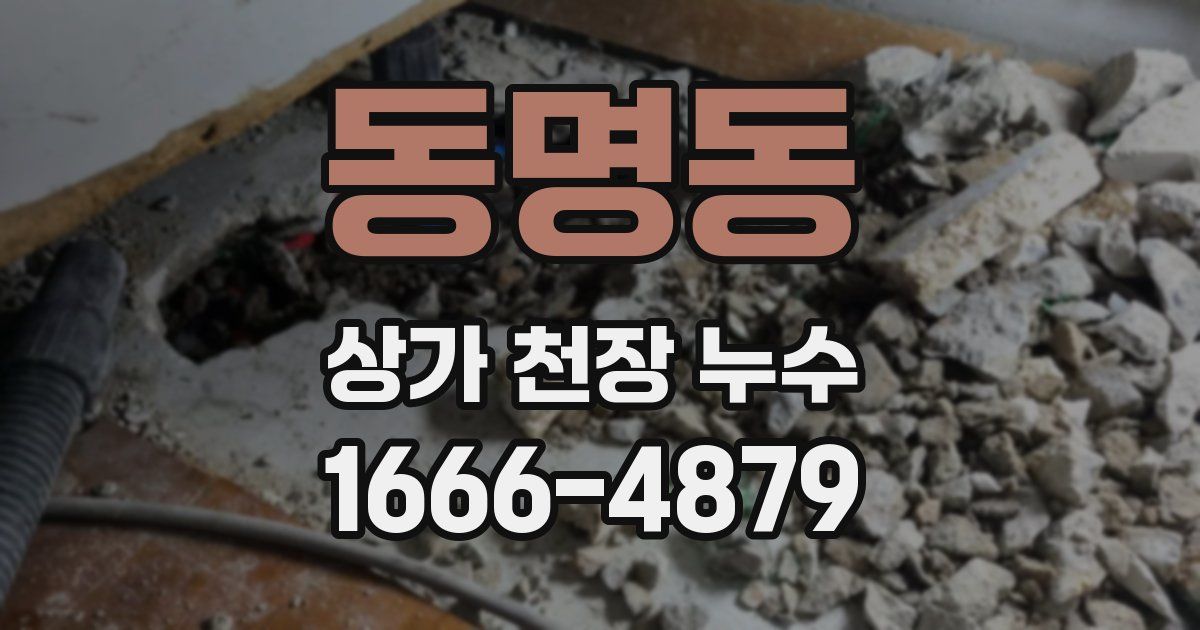 동명동 상가 천장 누수
