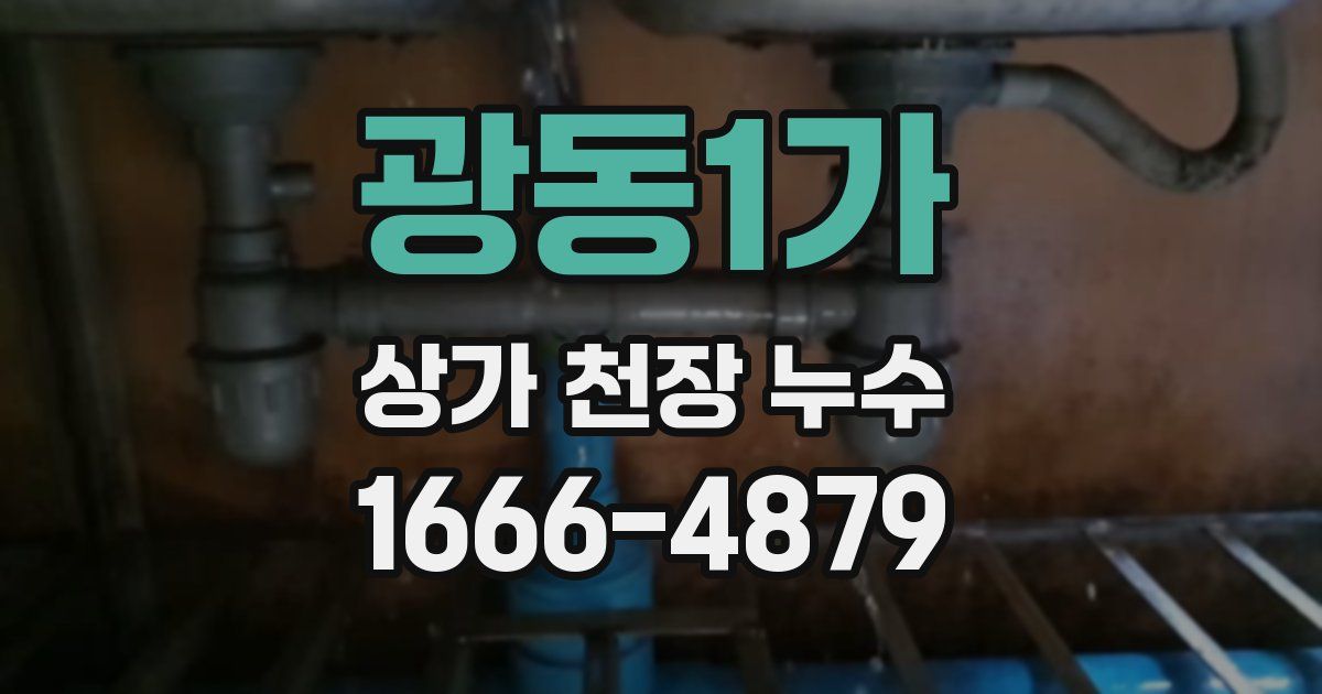 광동1가 상가 천장 누수