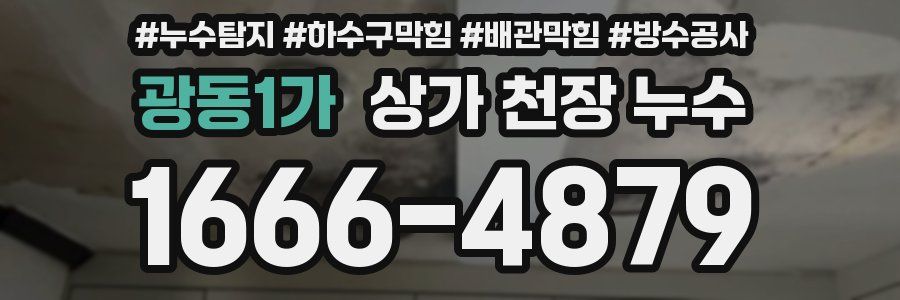 광동1가 상가 천장 누수