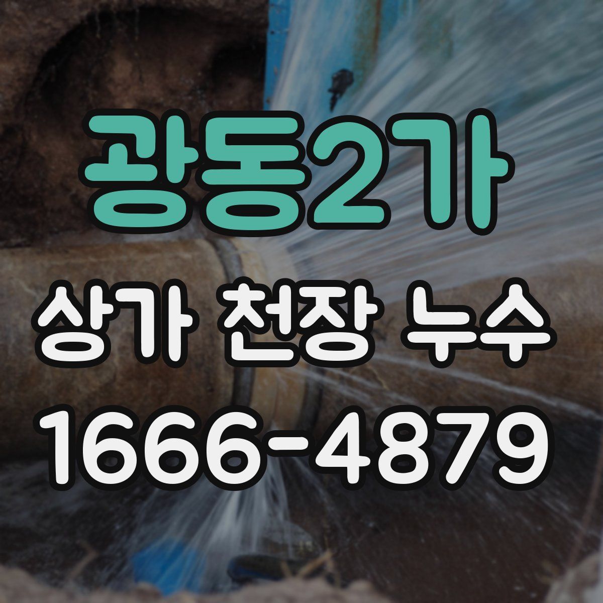 광동2가 상가 천장 누수