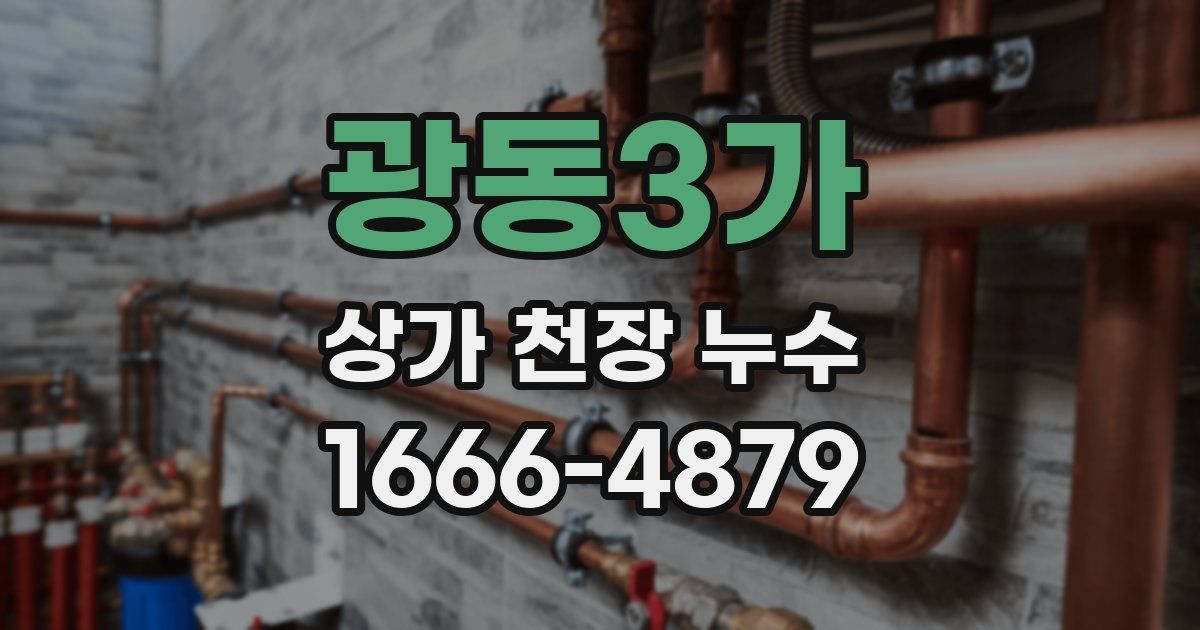 광동3가 상가 천장 누수